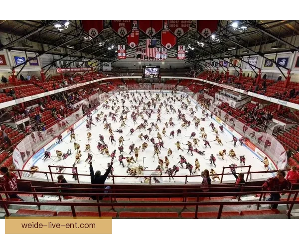 伟德平台是否可靠用户体验分析及安全性评估